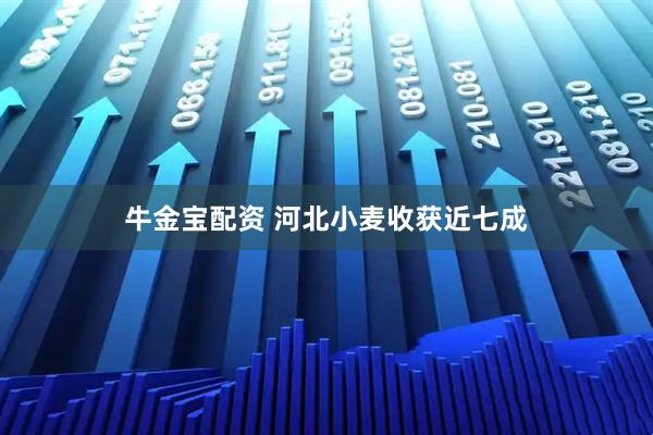 牛金宝配资 河北小麦收获近七成
