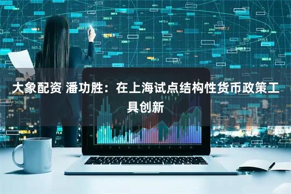 大象配资 潘功胜：在上海试点结构性货币政策工具创新
