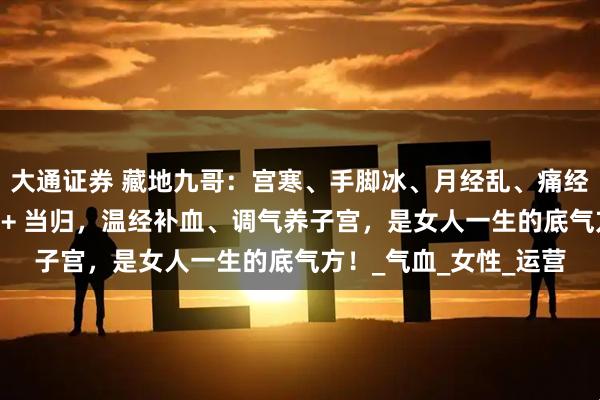 大通证券 藏地九哥：宫寒、手脚冰、月经乱、痛经重、不孕体虚？虫草 + 当归，温经补血、调气养子宫，是女人一生的底气方！_气血_女性_运营