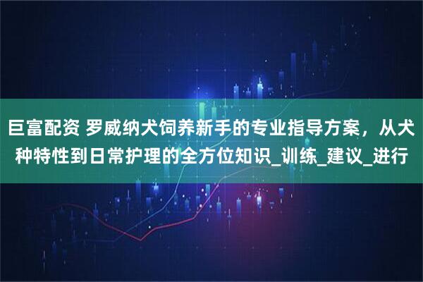 巨富配资 罗威纳犬饲养新手的专业指导方案，从犬种特性到日常护理的全方位知识_训练_建议_进行