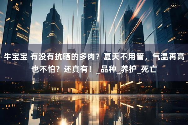 牛宝宝 有没有抗晒的多肉？夏天不用管，气温再高也不怕？还真有！_品种_养护_死亡