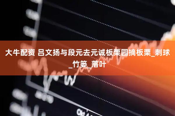 大牛配资 吕文扬与段元去元诚板栗园摘板栗_刺球_竹篓_落叶